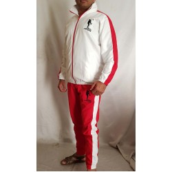 cheap custom design sports tracksuits Jacket Windproof microfiber suit tracksuit with NO MOQ 